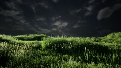 Gewitterwolken-über-Der-Wiese-Mit-Grünem-Gras